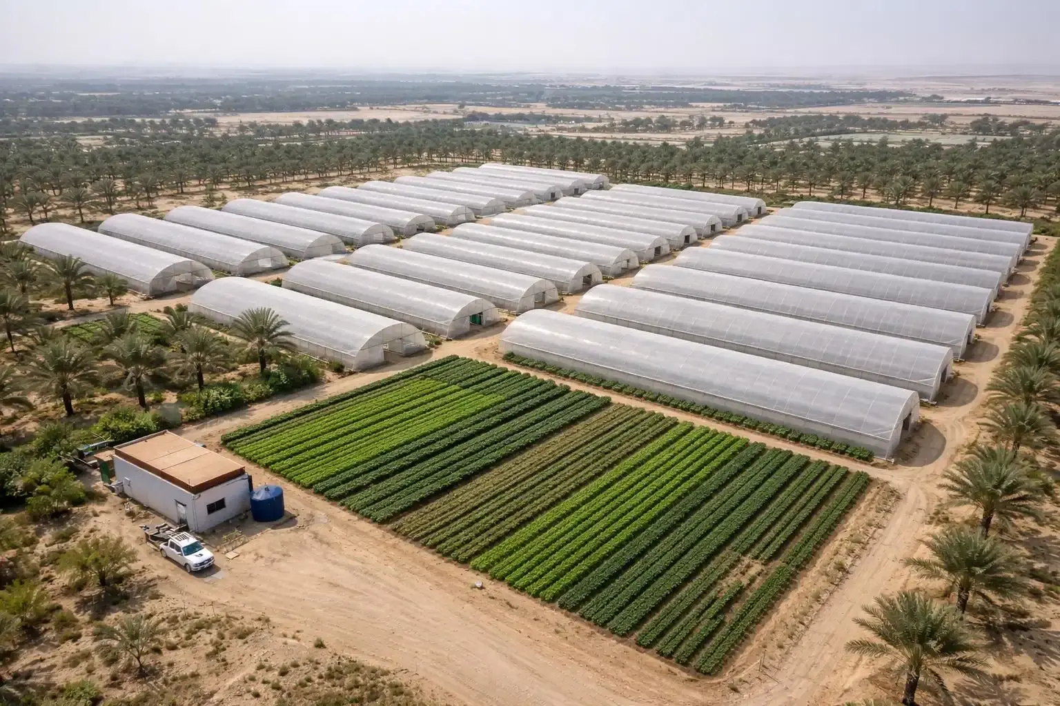 دراسات جدوى المزارع